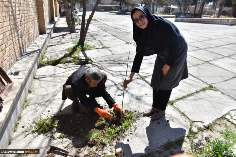 اجرای دومین مرحله بهسازی فضای سبز آموزشکده فنی و حرفه ای دختران کرمانشاه 6