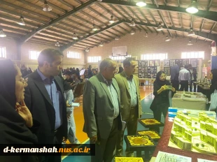 نمایشگاه دستاوردهای دانشجویان دانشگاه ملی مهارت استان کرمانشاه با حضور مسئولان استانی برگزار شد. 12